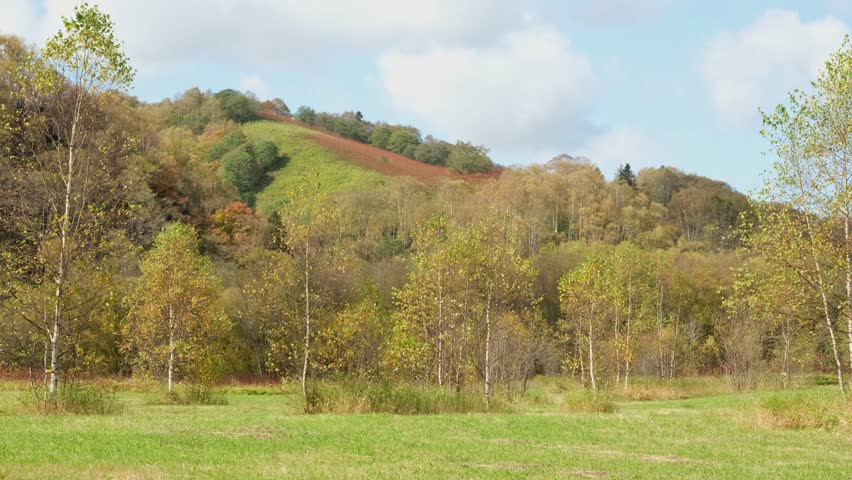 Autumn landscape. Forest, hills, blue sky with clouds.