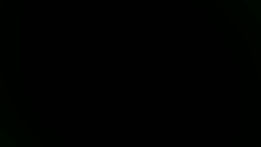 Shutterstock Video