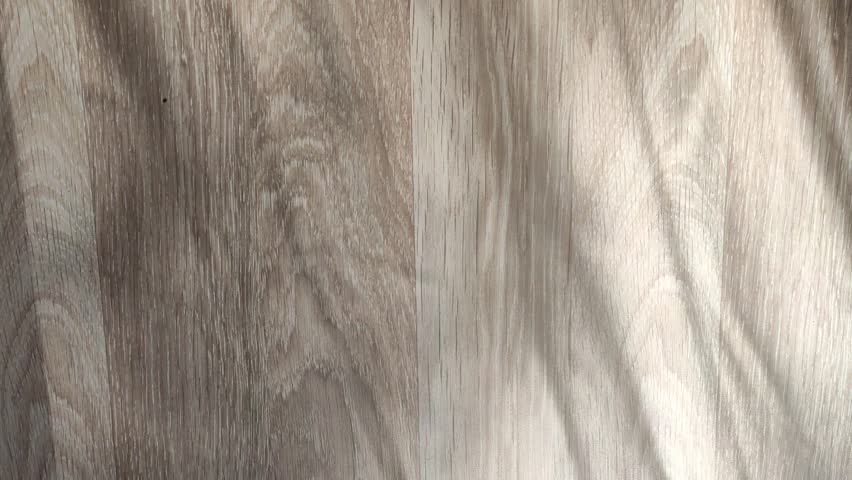 Interplay of a soft light and shadows on wooden surface, creating natural texture and soft contrasts. 