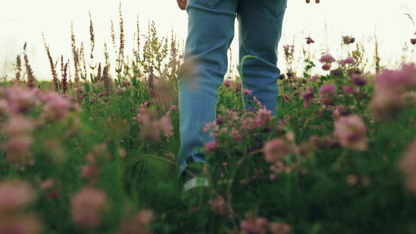 Boy child walks on grass with flowers in summer in park. Legs child stepping on green grass on lawn. Children play in park on vacation. Happy child relaxes in summer in flower field, outdoor. Travel