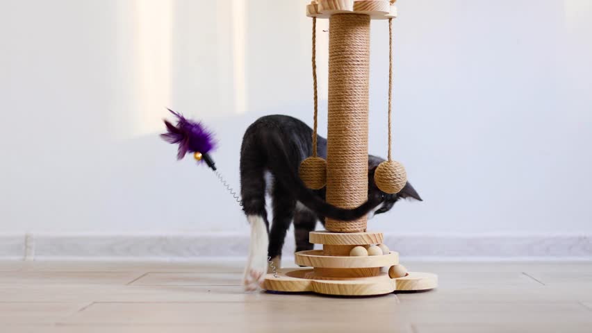 A playful kitten engages with its colorful scratching post, showcasing curiosity and energy