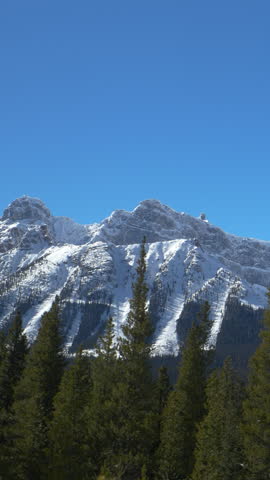 AERIAL: Flying along pine forest under the stunning snow capped Canadian Rockies. Scenic view of the Rocky Mountains towering above the pine woods in Jasper National Park. Drone view of a rocky ridge.