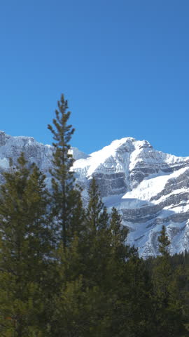 DRONE: Scenic view of the Rocky Mountains towering above the pine woods in Banff National Park. Flying along pine forest under the stunning snow capped Canadian Rockies. Aerial view of a rocky ridge.