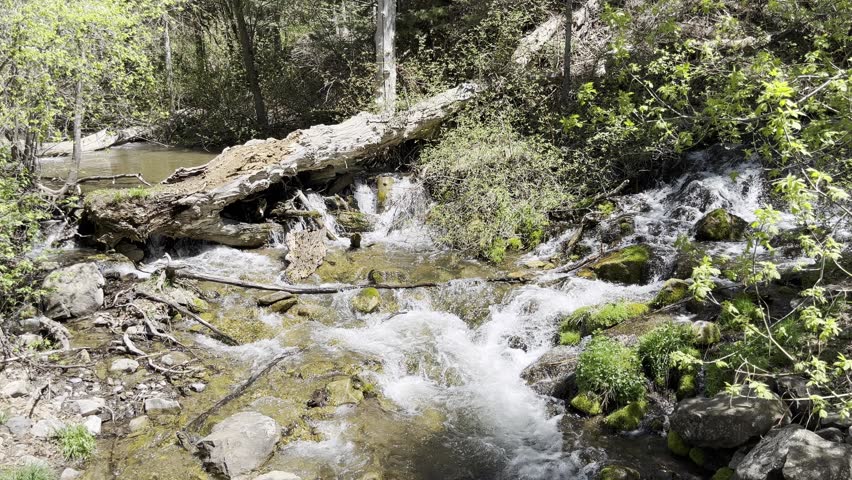River running through the forest in Millcreek Canyon in Utah. 