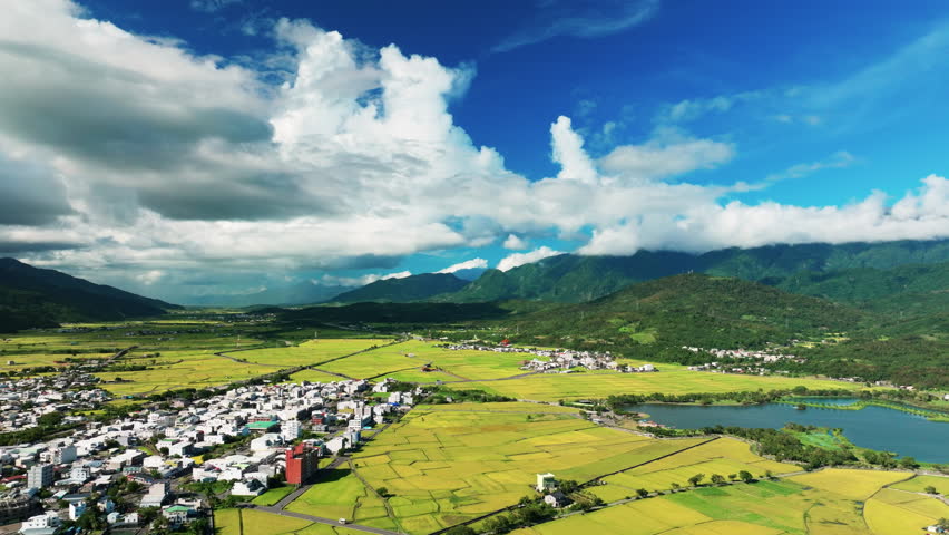 Aerial view of Beautiful rice fields, Chihshang Township, Taiwan