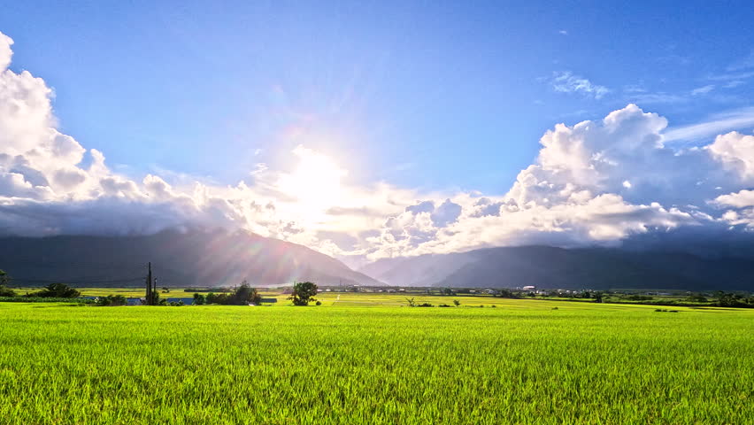 Car side window view of rice fields terrace farming plantation at sunrise in East Longitudinal Valley,Taiwan