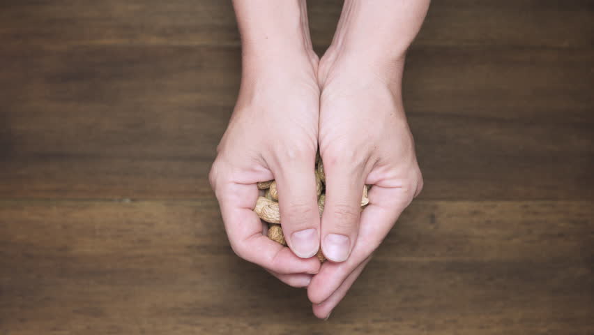 Woman is opening her palms and showing fresh peanuts. Freshly harvest. Product of organic farming. Healthy eco food.