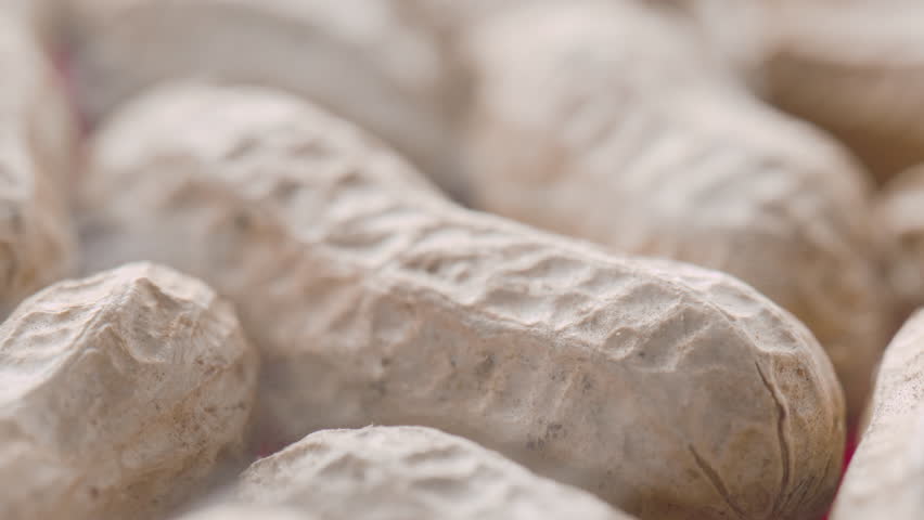 Closeup view of boiled fresh peanuts. Macro shot. Steam is visible on groundnut background. Product of organic farming. Healthy eco food.