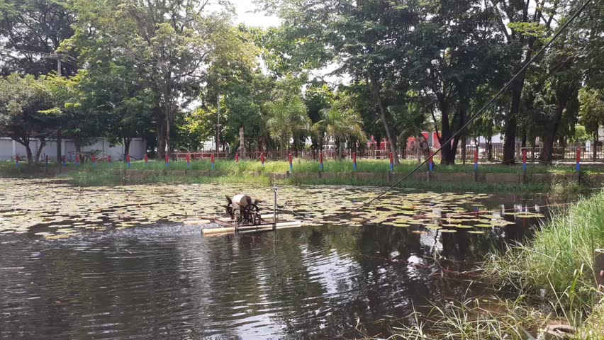 Wastewater treatment turbine in lotus pond