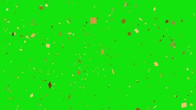 Golden Confetti Green Screen Animation Celebration and Party Overlay - Powered by Shutterstock - Get 15% off with code: PIKWIZARD15