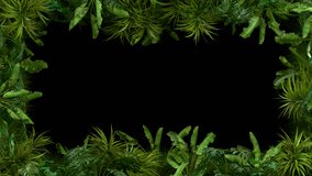 Tropical Plant Frame Loop - Green Leaves Swaying Animation with Transparent Alpha Channel. 3D rendering - Powered by Shutterstock - Get 15% off with code: PIKWIZARD15