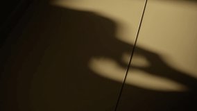 Shadow on office or apartment wall of a man speaking on the phone. Silhouette of busy businessman talking on a telephone call. Conspiracy or dirty business fraud deal. Suspicious angled view indoors - Powered by Shutterstock - Get 15% off with code: PIKWIZARD15