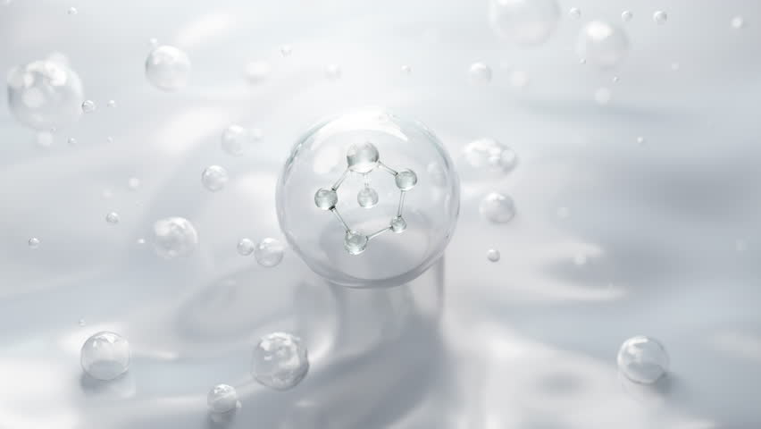 Shutterstock Video