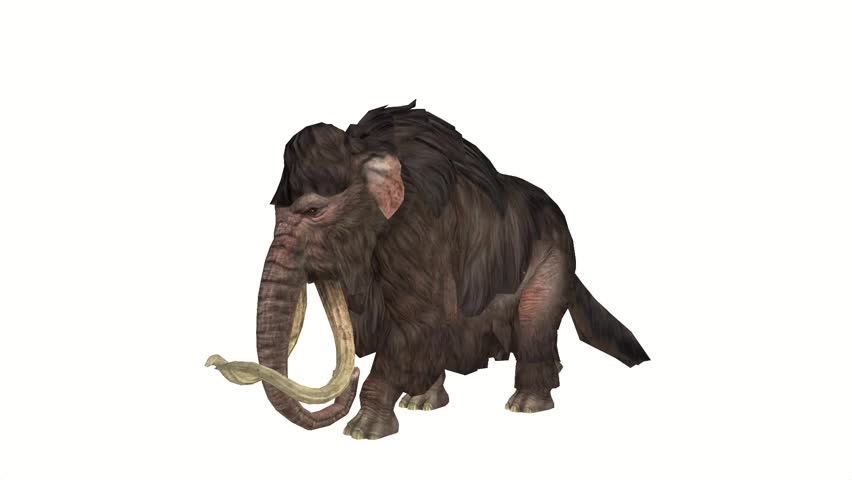 A huge mammoth is walking on the floor.