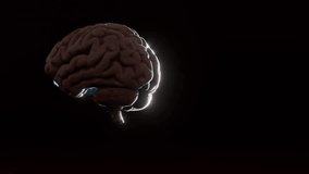 Human brain with glowing blue energy waves on dark background. 3D render of anatomical model and neural stream. Artificial intelligence and neuroscience concept. Design for poster, wallpaper. - Powered by Shutterstock - Get 15% off with code: PIKWIZARD15