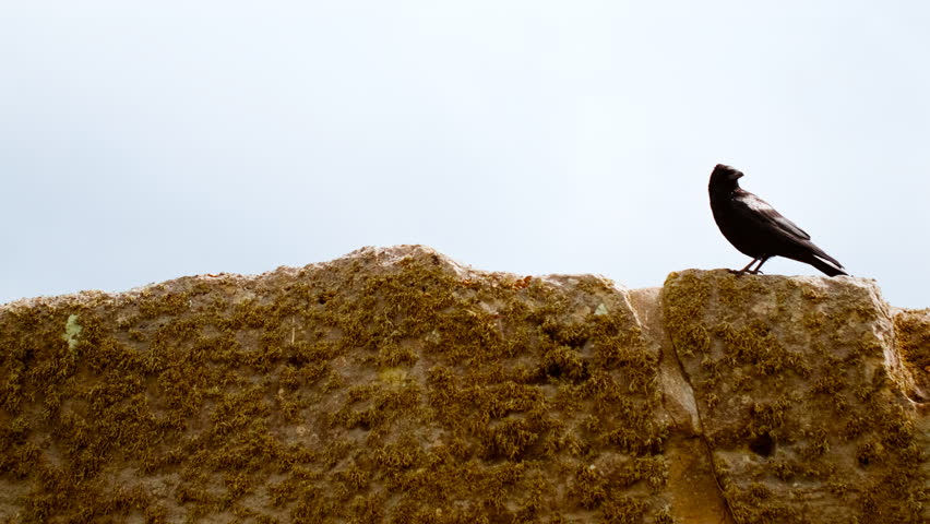 Prehistoric stone pillars and lintels form an iconic monument set on chalky ground at Stonehenge, Salisbury, Wiltshire, England, UK
