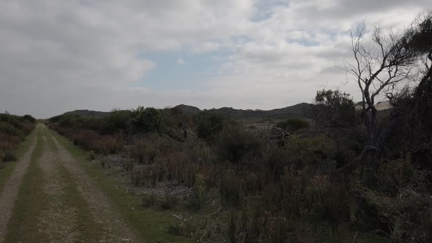 A Path Through Wilsons Promontory with blue sky, Victoria, Australia.
