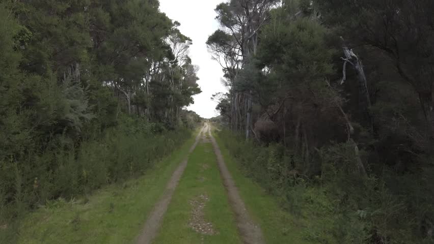 A Path Through Wilsons Promontory with blue sky, Victoria, Australia.