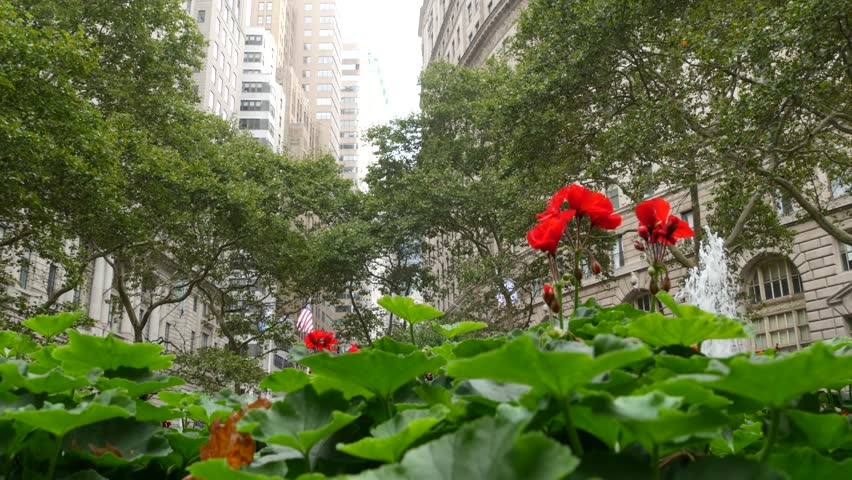 New York City Lower Manhattan, Downtown Financial District architecture, United States. High-rise buildings on Broadway street, USA. American urban scene, fountain in Bowling Green Park, NYC. Flowers.