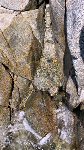The rock is washed by the surf waves of the sea. Vertical video.