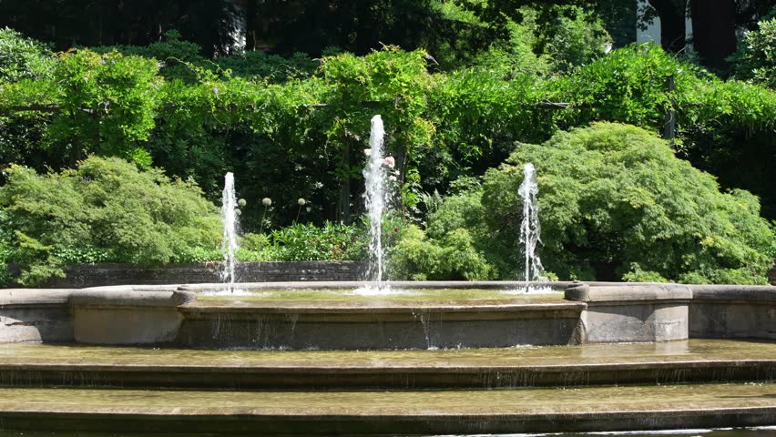 Scenic view of fountain with water lilies at pond at rose garden of public park at Swiss city of Bern on a sunny late spring afternoon. Movie shot June 19th, 2025, Bern, Switzerland.