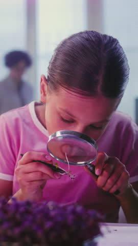 Elementary School Girl Growing Experimental Microgreens, Using Tweezer and Magnifying Glass, Spraying Nutritious Water. Smart Young Girl Studying Biology in Classroom. STEM Education. Vertical Shot.