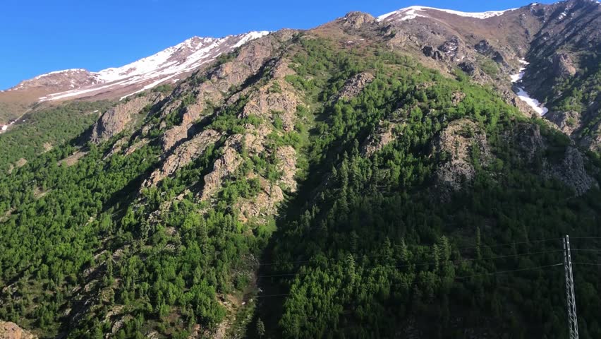 Wide view of a majestic mountain in northern Pakistan, featuring lush greenery, tall trees, and snow-covered peaks under a clear blue sky. A peaceful and cinematic nature scene for travel and document