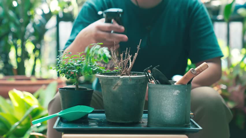 Happy Asian gardener watering plants using fog spray in garden, enjoying urban hobby and green outdoor lifestyle.
