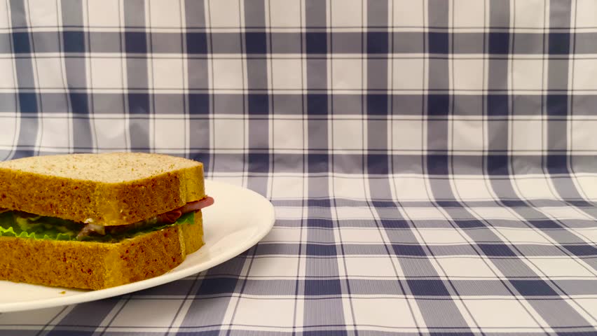 Wide angle front view of sandwich on a plate placed on a picnic plaid tablecloth background wallpaper. Fresh tasty delicious toast brunch with some bread crumbs surrounding it. Vibrant savoury texture