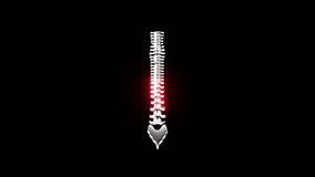 Human Spine Illustration with Red Inflamed Vertebrae Highlighted on Black Background – Concept of Back Pain, Sciatica, Spinal Injury, Medical Diagnosis, and Chiropractic Health - Powered by Shutterstock - Get 15% off with code: PIKWIZARD15