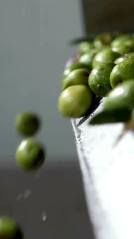 Olive industry Oil production olives falling