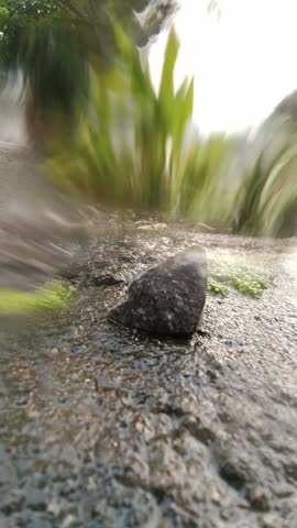 Artistic close-up of a small black stone on a wet surface, with soft light and motion blur creating a dreamy abstract effect.
