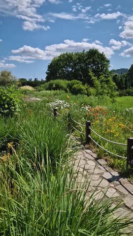Rear view young woman walks on a winding stone path through a vibrant garden with lush green plants and colorful wild flowers on both sides, under a bright blue sky with fluffy white clouds