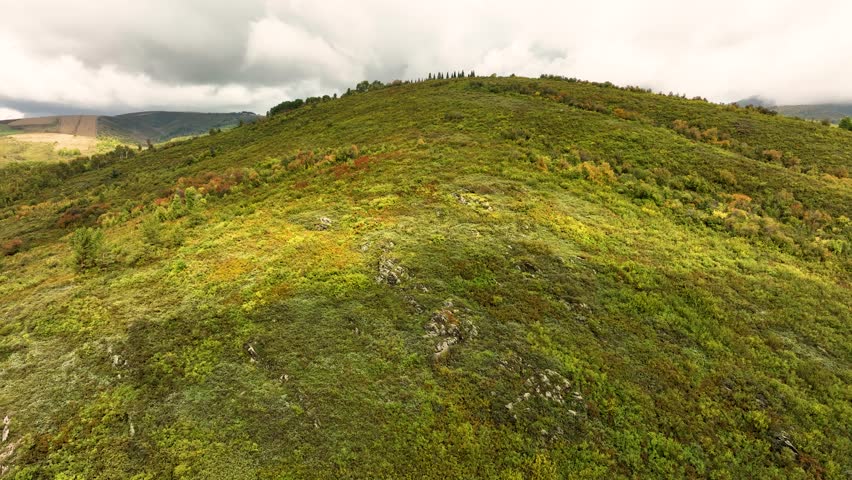 A majestic eagle soars through the sky above rolling hills covered in lush green and autumn-colored foliage under a cloudy sky