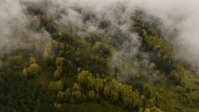 An aerial view captures a vibrant autumn forest blanketing a hillside, with patches of mist or low clouds drifting through the trees under an overcast sky - Powered by Shutterstock - Get 15% off with code: PIKWIZARD15