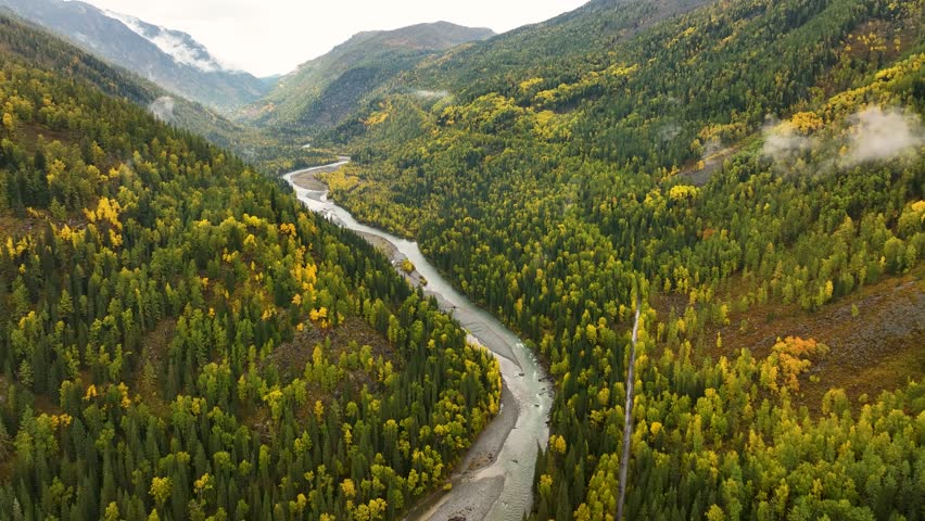 An aerial view showcases a winding river flowing through a lush autumn valley, bordered by vibrant forests and misty mountains under a cloudy sky