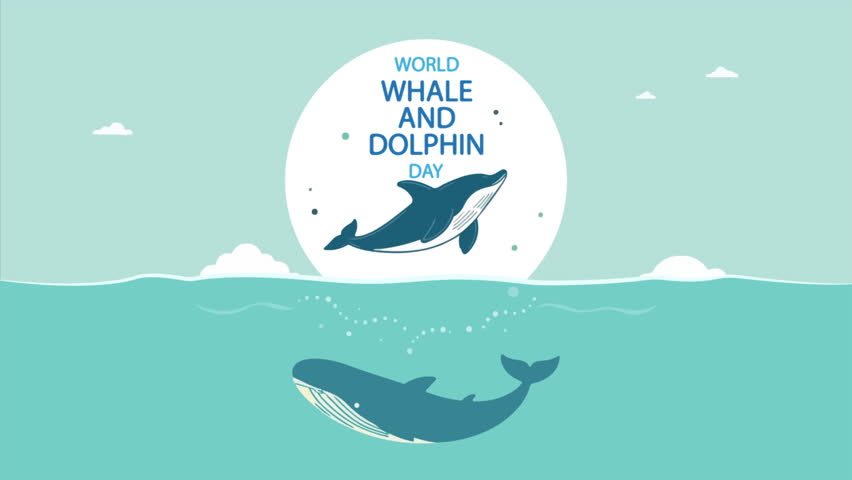 Whale and Dolphin World Day, art video illustration.
