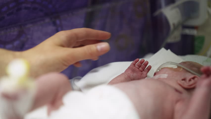 A premature baby lies in an incubator, hand held by an adult. The infant has medical equipment attached while resting on white linens.