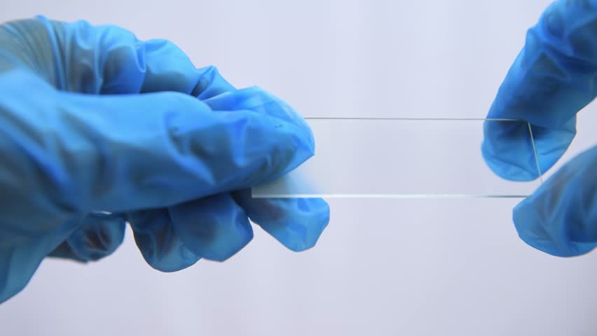 Someone wearing gloves examines microscope slides. Close-up