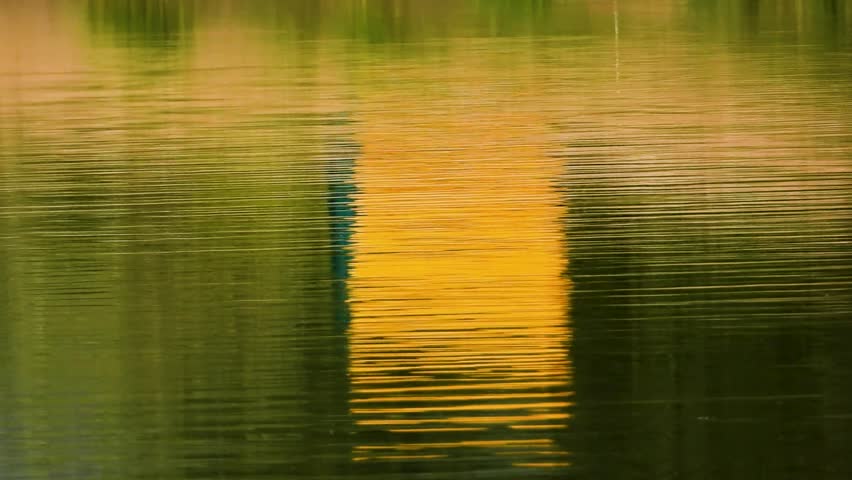 Shutterstock Video