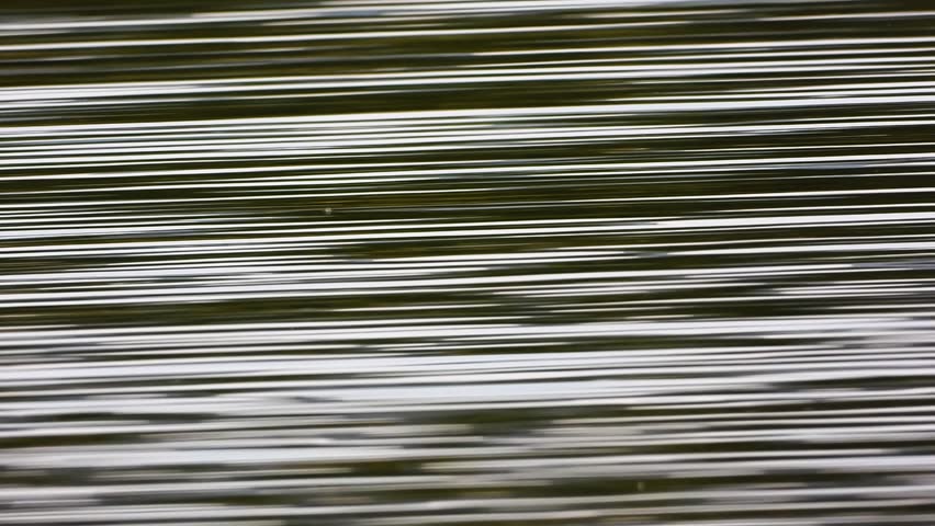 Shutterstock Video