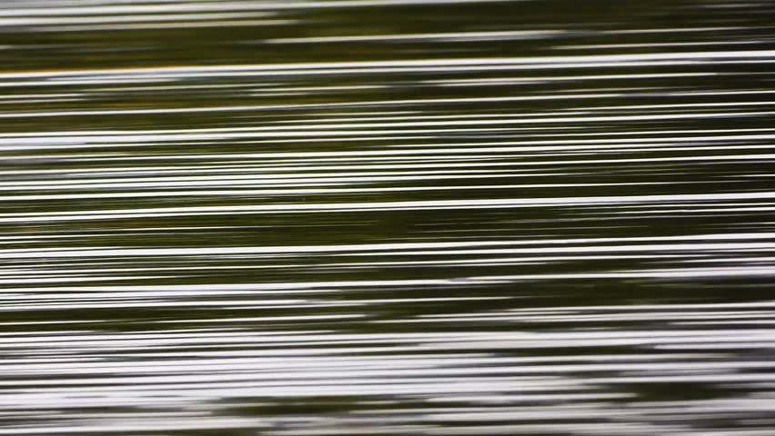 Shutterstock Video