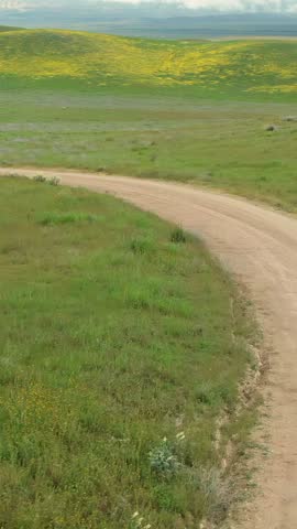 A winding dirt road cuts throughCarrizo Plain National Monument, California, USA, promising adventure and escape. The landscape evokes a sense of freedom and the beauty of the natural world.