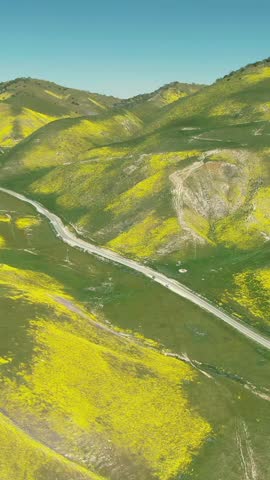 Aerial view of cars driving through the Carrizo Plain National Monument during the wildflower superbloom in California, USA. Springtime travel.