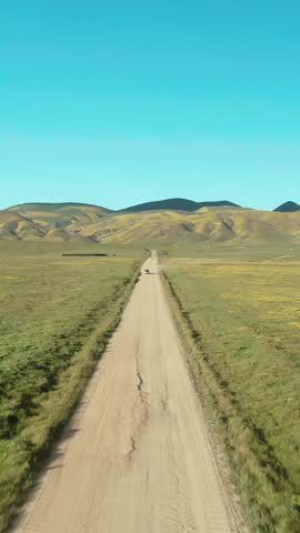 A lone car drives down a dirt road through the Carrizo Plain National Monument in California, USA. The landscape is covered in wildflowers during the superbloom.