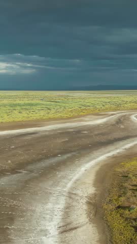 Aerial view of the landscape in Carrizo Plain National Monument, California, USA. California, USA