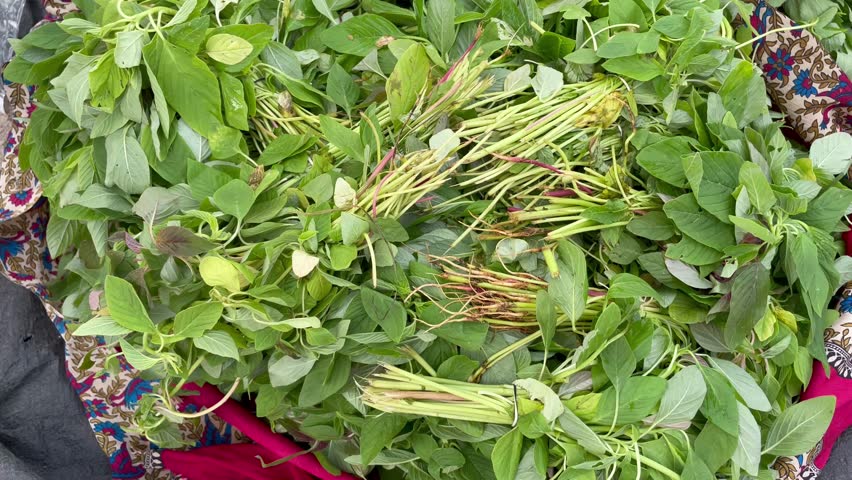 all types of leafy greens in vegetable market in india