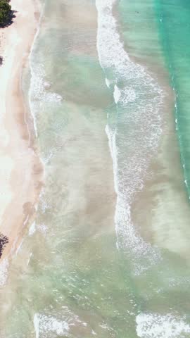 Vertical Drone Shot of Cahuita National Park, Costa Rica, White Sand Beach, Landscape and Coastal Village