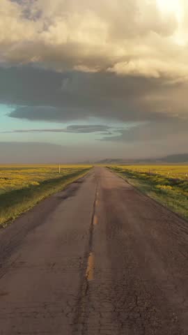 A long, empty road stretches through a field of yellow flowers under a dramatic sky in Carrizo Plain National Monument, California, USA. The road leads to distant hills, evoking a sense of adventure.