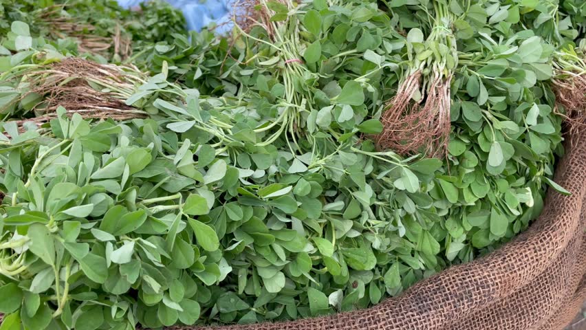 all types of leafy greens in vegetable market in india